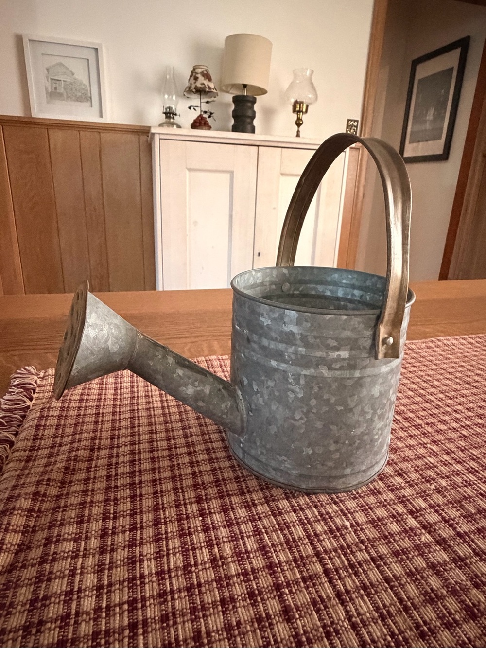 Rustic Metal Watering Can Farmhouse Cottage Garden Decor